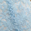 High Quality Blue A Line Lace Short Prom Dress,Sleeveless Homecoming Dresses DM470