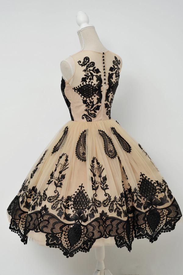 Elegant A-Line Scoop Sleeveless Tulle Vintage Style Homecoming Dress With Black Lace DM465