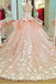 Tulle Lace Scoop Neckline Ball Gown Wedding Dress With Lace Appliques,Quinceanera Dresses DM619